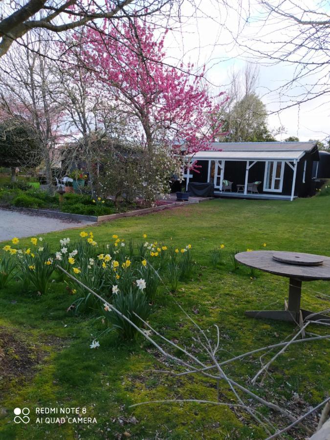 The Homestead Lac Lac Taupo Extérieur photo